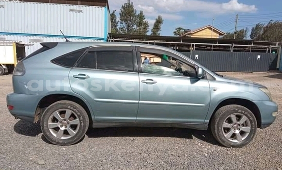 Oofamaa Toyota Harrier Other Makiinaa iti Ruiru keessatti Nairobi keessatti