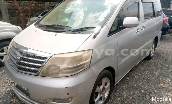 Oofamaa Toyota Alphard Silver Makiinaa iti Nakuru keessatti Rift Valley keessatti