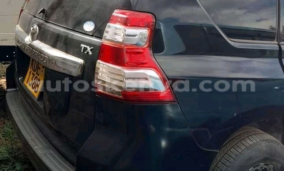 Buy Used Toyota Land Cruiser Prado Black Car in Nakuru in Rift Valley Buy Used Toyota Land Cruiser Prado Black Car in Nakuru in Rift Valley