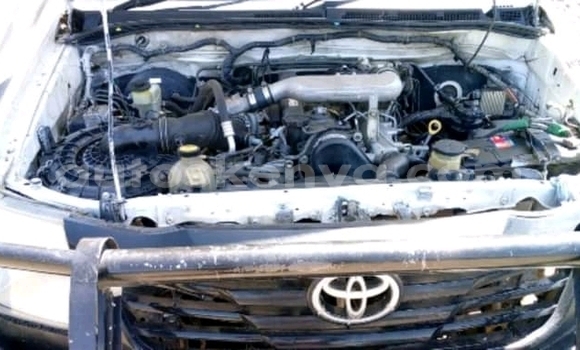 Buy Used Toyota Hilux White Car in Nakuru in Rift Valley Buy Used Toyota Hilux White Car in Nakuru in Rift Valley