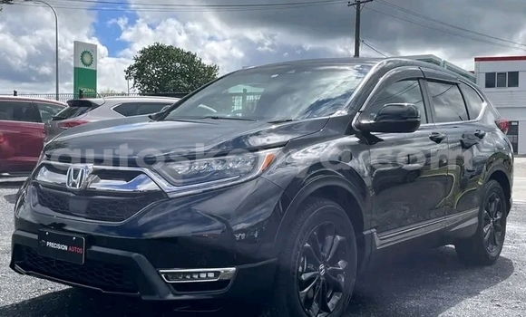 Oofamaa Honda CRβV Black Makiinaa iti Nairobi keessatti Nairobi keessatti Oofamaa Honda CRβV Black Makiinaa iti Nairobi keessatti Nairobi keessatti