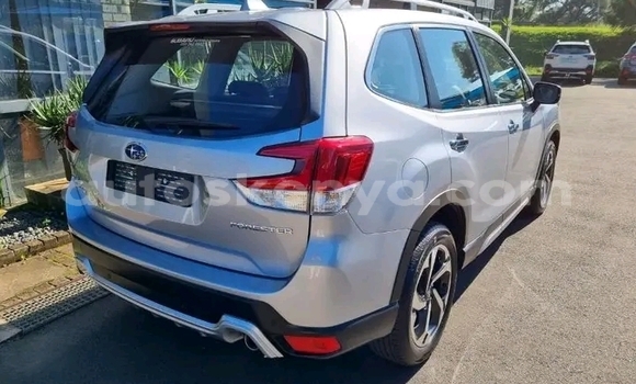 Buy Used Subaru Forester Silver Car in Nairobi in Nairobi