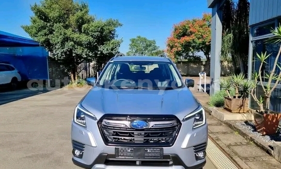 Buy Used Subaru Forester Silver Car in Nairobi in Nairobi Buy Used Subaru Forester Silver Car in Nairobi in Nairobi