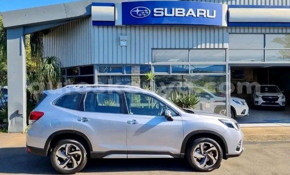 Buy Used Subaru Forester Silver Car in Nairobi in Nairobi Buy Used Subaru Forester Silver Car in Nairobi in Nairobi