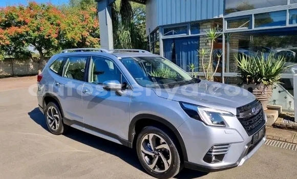 Buy Used Subaru Forester Silver Car in Nairobi in Nairobi Buy Used Subaru Forester Silver Car in Nairobi in Nairobi