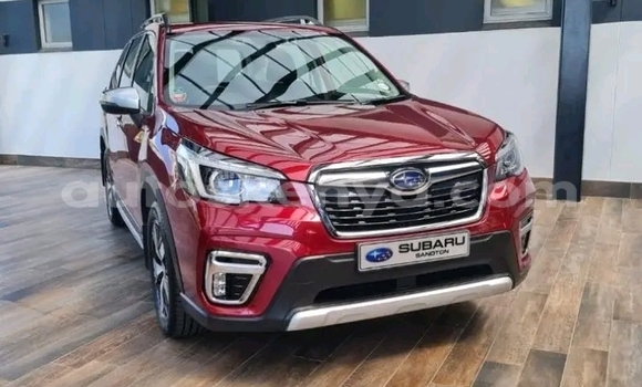 Nunua Ilio tumika Subaru Forester Nyekundu Gari ndani ya Nairobi nchini Nairobi
