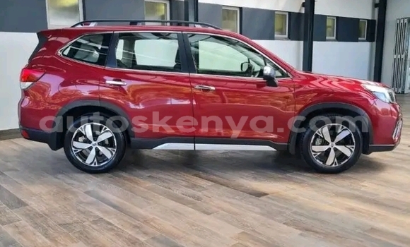 Buy Used Subaru Forester Red Car in Nairobi in Nairobi Buy Used Subaru Forester Red Car in Nairobi in Nairobi