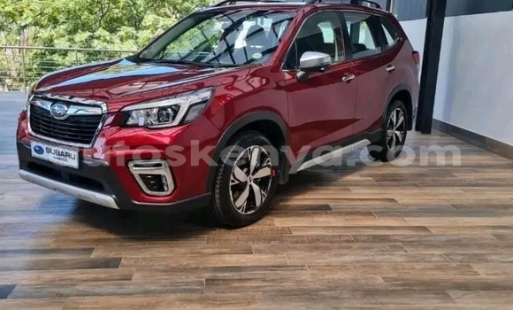Buy Used Subaru Forester Red Car in Nairobi in Nairobi Buy Used Subaru Forester Red Car in Nairobi in Nairobi