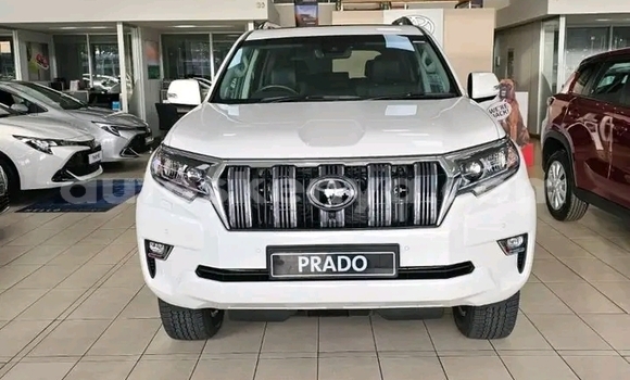 Buy Used Toyota Land Cruiser Prado White Car in Nairobi in Nairobi Buy Used Toyota Land Cruiser Prado White Car in Nairobi in Nairobi