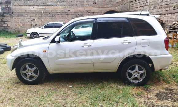 Buy Used Toyota RAV4 White Car in Nairobi in Nairobi Buy Used Toyota RAV4 White Car in Nairobi in Nairobi