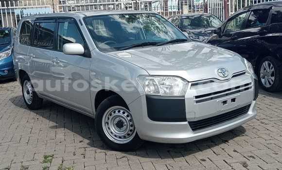 Buy New Toyota Probox Silver Car in Nairobi in Nairobi Buy New Toyota Probox Silver Car in Nairobi in Nairobi