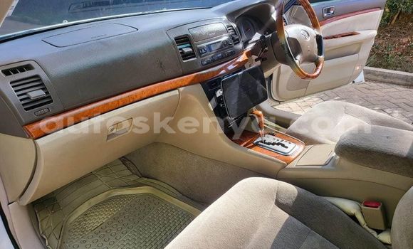 Nunua Ilio tumika Toyota Mark II Nyeupe Gari ndani ya Busia nchini West Kenya Nunua Ilio tumika Toyota Mark II Nyeupe Gari ndani ya Busia nchini West Kenya