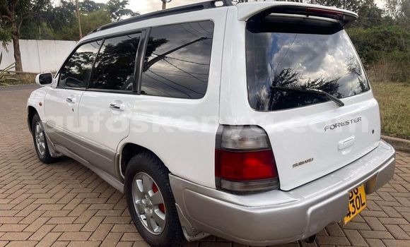 Nunua Ilio tumika Subaru Forester Nyeupe Gari ndani ya Busia nchini West Kenya Nunua Ilio tumika Subaru Forester Nyeupe Gari ndani ya Busia nchini West Kenya
