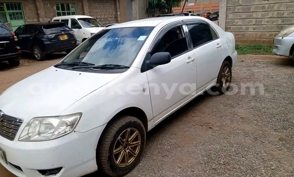 Oofamaa Toyota Corolla White Makiinaa iti Nairobi keessatti Nairobi keessatti Oofamaa Toyota Corolla White Makiinaa iti Nairobi keessatti Nairobi keessatti