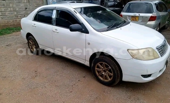 Buy Used Toyota Corolla White Car in Nairobi in Nairobi Buy Used Toyota Corolla White Car in Nairobi in Nairobi