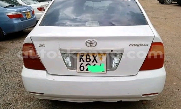 Buy Used Toyota Corolla White Car in Nairobi in Nairobi Buy Used Toyota Corolla White Car in Nairobi in Nairobi