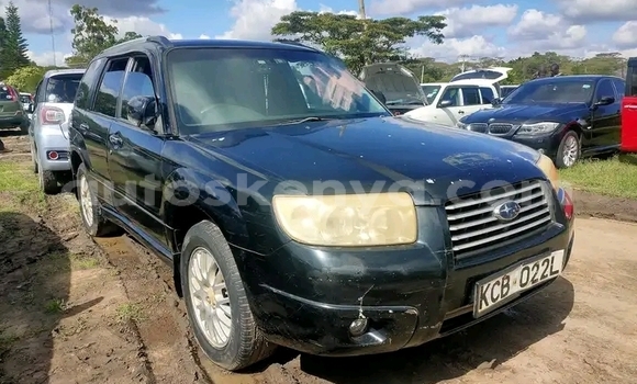 Nunua Ilio tumika Subaru Forester Bluu Gari ndani ya Kiambu nchini Nairobi Nunua Ilio tumika Subaru Forester Bluu Gari ndani ya Kiambu nchini Nairobi