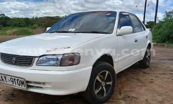 Oofamaa Toyota Corolla White Makiinaa iti Nairobi keessatti Nairobi keessatti