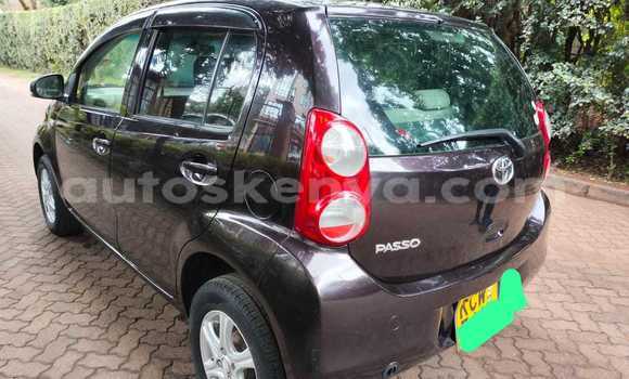 Buy Used Toyota Passo Brown Car in Nairobi in Nairobi Buy Used Toyota Passo Brown Car in Nairobi in Nairobi
