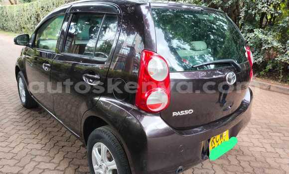 Buy Used Toyota Passo Brown Car in Nairobi in Nairobi Buy Used Toyota Passo Brown Car in Nairobi in Nairobi