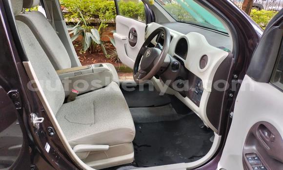 Buy Used Toyota Passo Brown Car in Nairobi in Nairobi Buy Used Toyota Passo Brown Car in Nairobi in Nairobi