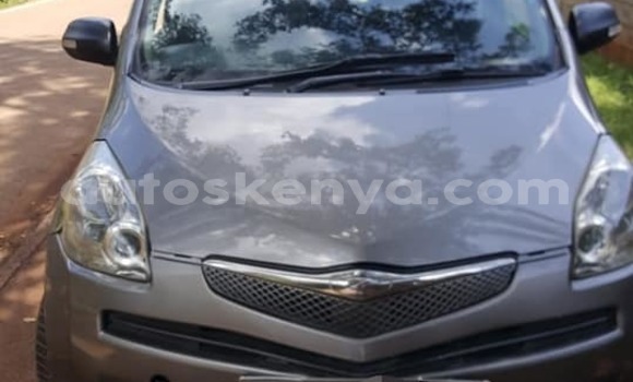 Buy Used Toyota Ractis Other Car in Bute in Northeast Kenya Buy Used Toyota Ractis Other Car in Bute in Northeast Kenya