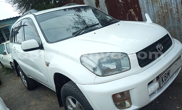 Buy Used Toyota RAV4 White Car in Nairobi in Nairobi Buy Used Toyota RAV4 White Car in Nairobi in Nairobi