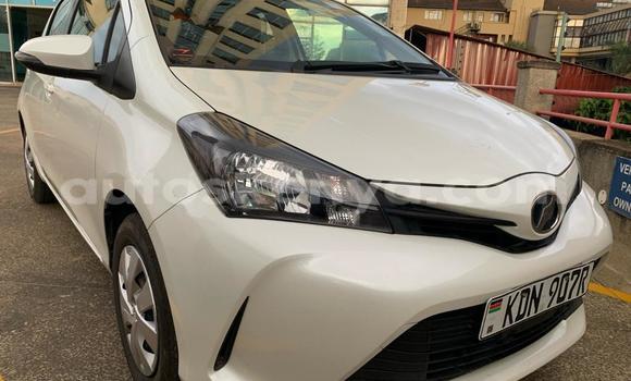 Buy New Toyota Vitz White Car in Nairobi in Nairobi Buy New Toyota Vitz White Car in Nairobi in Nairobi