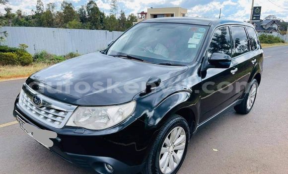 Buy Used Subaru Forester Black Car in Nairobi in Nairobi