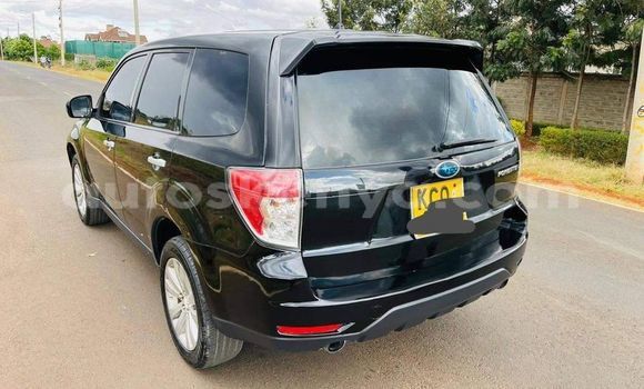 Oofamaa Subaru Forester Black Makiinaa iti Nairobi keessatti Nairobi keessatti Oofamaa Subaru Forester Black Makiinaa iti Nairobi keessatti Nairobi keessatti