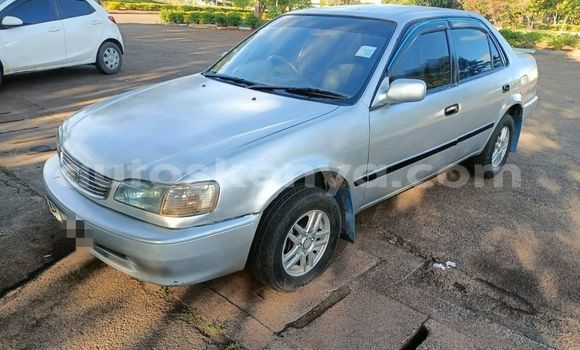 Nunua Ilio tumika Toyota Allex Nyingine Gari ndani ya Nairobi nchini Nairobi