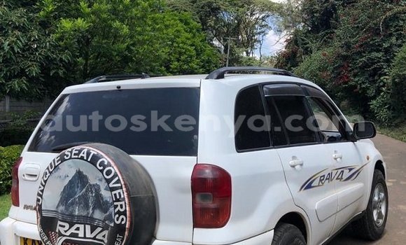 Buy Used Toyota RAV4 White Car in Bute in Northeast Kenya Buy Used Toyota RAV4 White Car in Bute in Northeast Kenya
