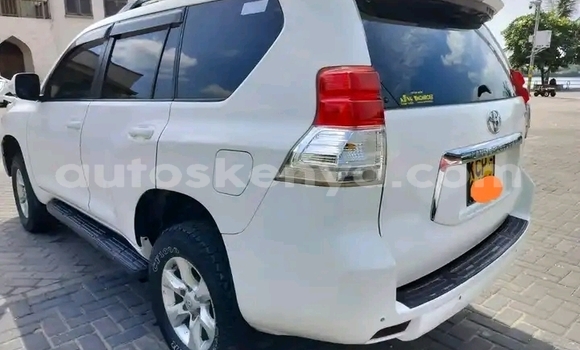 Buy Used Toyota Prado White Car in Nairobi in Nairobi
