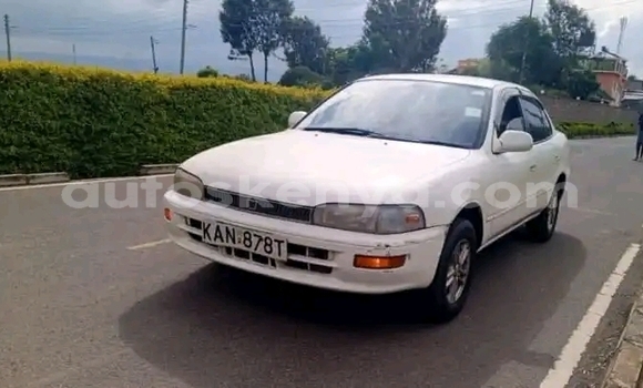 Buy Used Toyota Sprinter White Car in Nakuru in Rift Valley Buy Used Toyota Sprinter White Car in Nakuru in Rift Valley