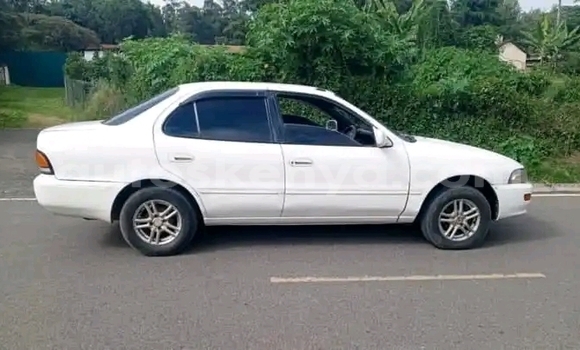 Buy Used Toyota Sprinter White Car in Nakuru in Rift Valley Buy Used Toyota Sprinter White Car in Nakuru in Rift Valley