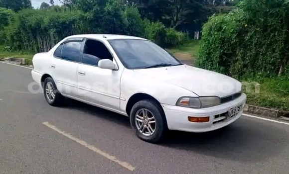 Buy Used Toyota Sprinter White Car in Nakuru in Rift Valley Buy Used Toyota Sprinter White Car in Nakuru in Rift Valley
