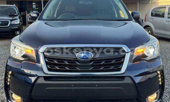 Buy Used Subaru Forester Other Car in Nairobi in Nairobi Buy Used Subaru Forester Other Car in Nairobi in Nairobi