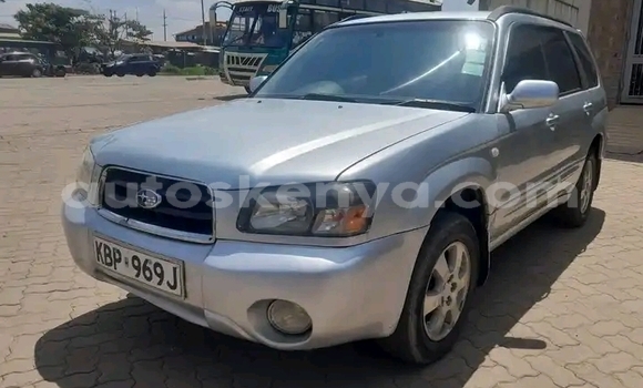 Oofamaa Subaru Forester Silver Makiinaa iti Nairobi keessatti Nairobi keessatti Oofamaa Subaru Forester Silver Makiinaa iti Nairobi keessatti Nairobi keessatti