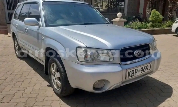 Oofamaa Subaru Forester Silver Makiinaa iti Nairobi keessatti Nairobi keessatti Oofamaa Subaru Forester Silver Makiinaa iti Nairobi keessatti Nairobi keessatti