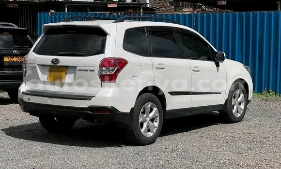 Buy Used Subaru Forester White Car in Nairobi in Nairobi Buy Used Subaru Forester White Car in Nairobi in Nairobi