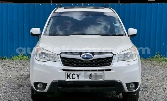 Buy Used Subaru Forester White Car in Nairobi in Nairobi Buy Used Subaru Forester White Car in Nairobi in Nairobi