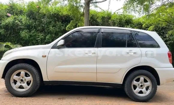 Buy Used Toyota RAV4 White Car in Nairobi in Nairobi Buy Used Toyota RAV4 White Car in Nairobi in Nairobi
