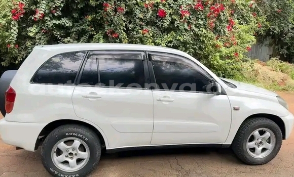 Buy Used Toyota RAV4 White Car in Nairobi in Nairobi Buy Used Toyota RAV4 White Car in Nairobi in Nairobi
