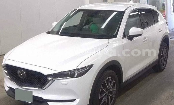 Oofamaa Mazda CX-5 White Makiinaa iti Bute keessatti Northeast Kenya keessatti Oofamaa Mazda CX-5 White Makiinaa iti Bute keessatti Northeast Kenya keessatti