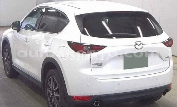 Nunua Ilio tumika Mazda CX-5 Nyeupe Gari ndani ya Bute nchini Kaskazini Mashariki mwa Kenya Nunua Ilio tumika Mazda CX-5 Nyeupe Gari ndani ya Bute nchini Kaskazini Mashariki mwa Kenya