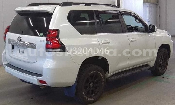 Nunua Ilio tumika Toyota Land Cruiser Prado Nyeupe Gari ndani ya Busia nchini West Kenya Nunua Ilio tumika Toyota Land Cruiser Prado Nyeupe Gari ndani ya Busia nchini West Kenya