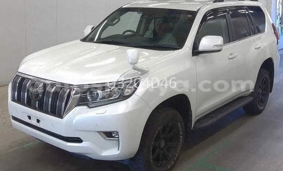 Nunua Ilio tumika Toyota Land Cruiser Prado Nyeupe Gari ndani ya Busia nchini West Kenya Nunua Ilio tumika Toyota Land Cruiser Prado Nyeupe Gari ndani ya Busia nchini West Kenya