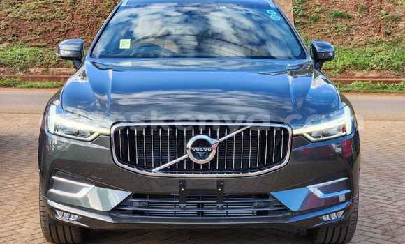 Oofamaa Volvo 164 Other Makiinaa iti Bura keessatti Northeast Kenya keessatti