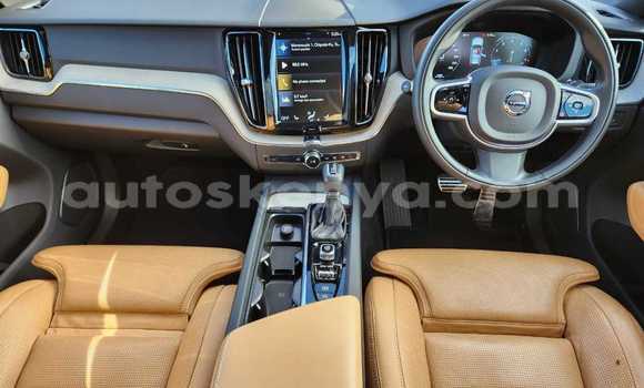 Nunua Ilio tumika Volvo 164 Nyingine Gari ndani ya Bura nchini Kaskazini Mashariki mwa Kenya Nunua Ilio tumika Volvo 164 Nyingine Gari ndani ya Bura nchini Kaskazini Mashariki mwa Kenya