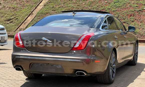 Buy Used Jaguar F-Type Other Car in Busia in West Kenya Buy Used Jaguar F-Type Other Car in Busia in West Kenya